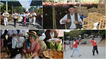 Diferentes secuencias de la fiesta canaria en el parque urbano de San Juan (Foto TA)