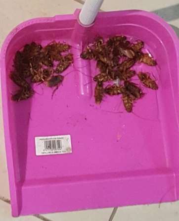 Los vecinos y comerciantes califican la situación de 