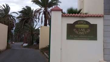 Zona donde se encuentra la plaga de insectos (Foto TA)