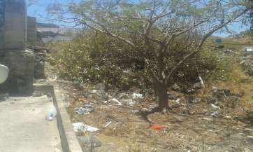 Zona afectada por la plaga de ratas (Foto TA)