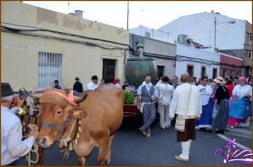 Momento de la romería de este sábado (Foto Francisco J. Santana)