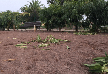 Estado que presenta el parque para perros en San Juan (Foto TA)