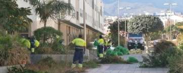 Imagen de archivo de una actuación de Parques y Jardines en la zona (Foto TA)
