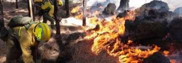 Brigadas forestales trabajan en el incendio de La Palma (Foto Efe)