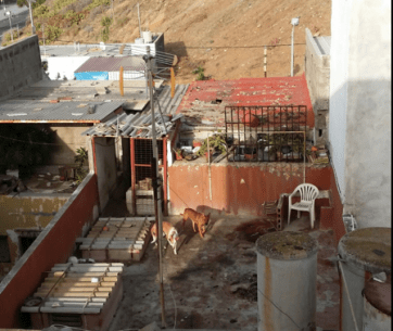 Imagen de lo alto de la casa en la que vive la mujer (Foto TA)