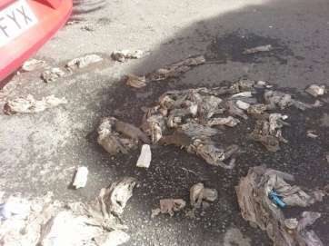 Ratas y basura en la calle debido al desbordamiento de la red de saneamiento (Foto TA)