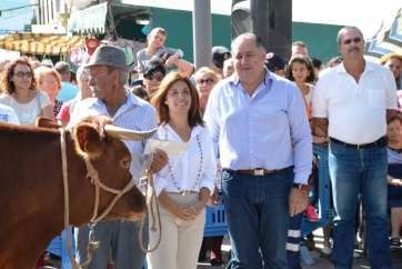 Imagen de la pasada edición de la feria de ganado de las Fiestas de San Gregorio (Foto TA)