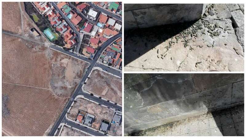 Foto área de la zona que fue fumigada el viernes y bichos localizados en la acera de la calle de Sancocho en Playa del Hombre (Foto TA)