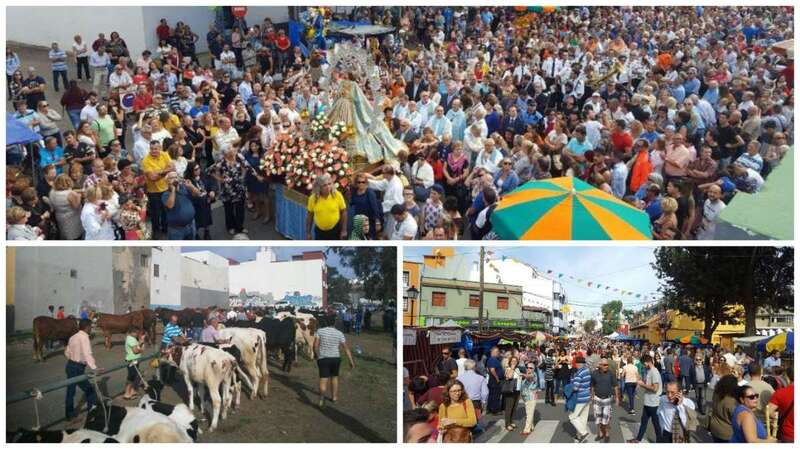 Distintas imágenes de la feria de ganado (Foto Antonio Alí)
