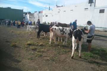 Foto Antonio Alí/TA y Francisco J. Santana