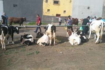 Foto Antonio Alí/TA y Francisco J. Santana