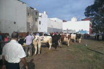 Foto Antonio Alí/TA y Francisco J. Santana