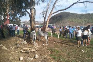 Foto Antonio Alí/TA y Francisco J. Santana