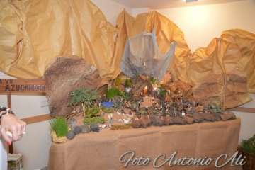 Reportaje gráfico Antonio Alí (Foto 1-14) y Francisco J. Santana (Foto 15-63)