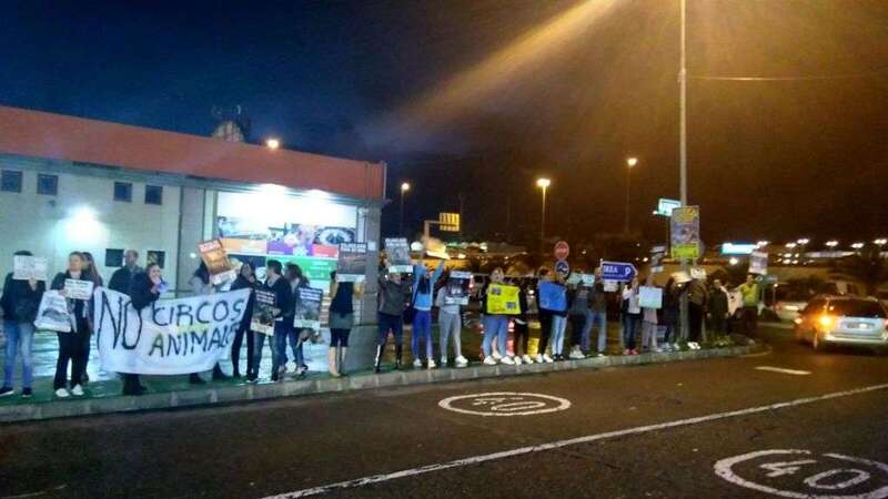 Concentrados frente al Circus Kaos en La Mareta (Foto TA)