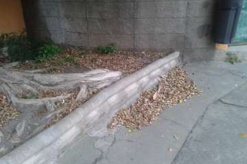 Cancha del Valle de los Nueve Bajo