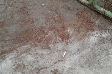 Cancha del Valle de los Nueve Bajo