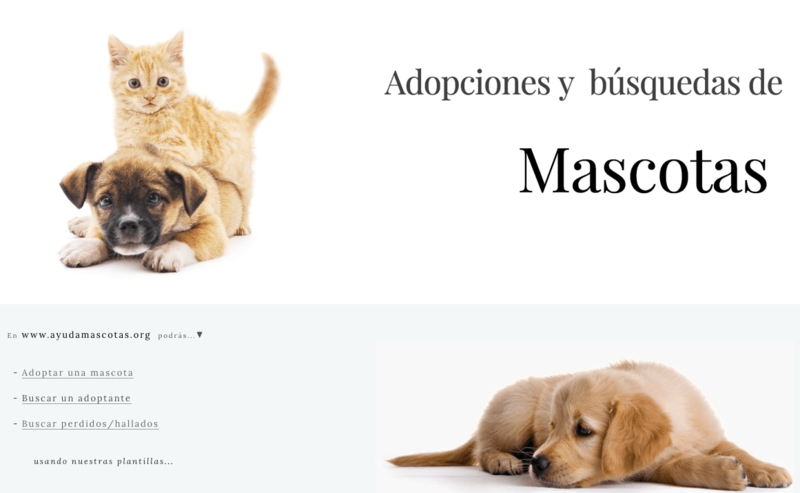 Portada de la web (Foto TA)