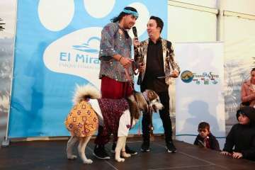 II Pasarela Canina de Disfraces en el CC El Mirador (Foto TA)