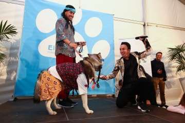 II Pasarela Canina de Disfraces en el CC El Mirador (Foto TA)