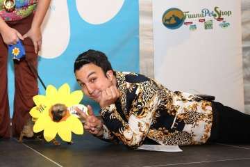 II Pasarela Canina de Disfraces en el CC El Mirador (Foto TA)