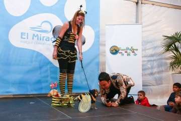 II Pasarela Canina de Disfraces en el CC El Mirador (Foto TA)