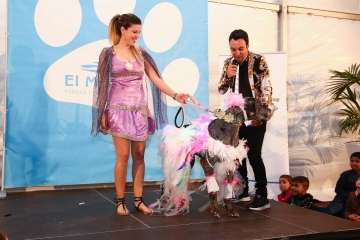 II Pasarela Canina de Disfraces en el CC El Mirador (Foto TA)