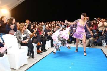 II Pasarela Canina de Disfraces en el CC El Mirador (Foto TA)