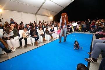 II Pasarela Canina de Disfraces en el CC El Mirador (Foto TA)