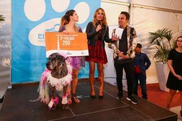 II Pasarela Canina de Disfraces en el CC El Mirador (Foto TA)