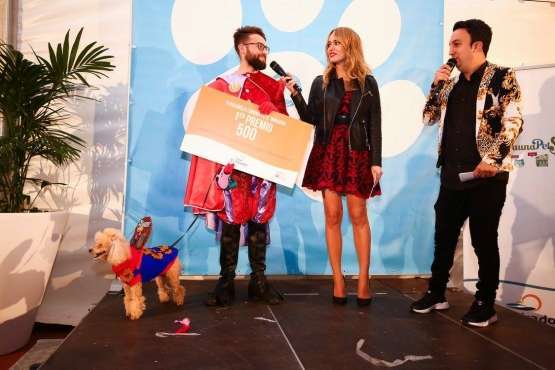 II Pasarela Canina de Disfraces en el CC El Mirador (Foto TA)