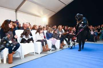 II Pasarela Canina de Disfraces en el CC El Mirador (Foto TA)
