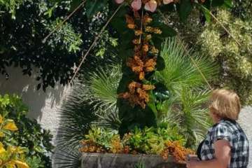 Enramado de la Cruz en La Montañeta de El Calero (Foto TA)