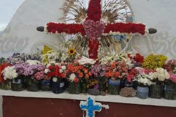 Reportaje Francisco Javier Santana