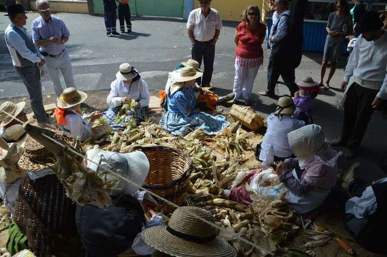 Recreación de la descamisada en la edición del pasado año del Día de Canarias en Telde (Foto TA)
