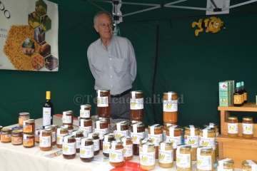 Reportaje gráfico TA