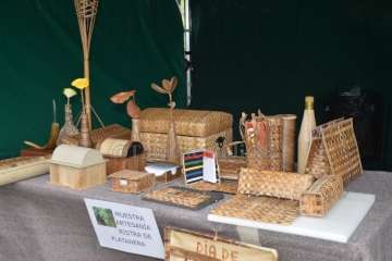 Reportaje gráfico TA