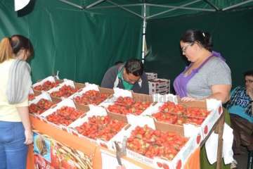 Reportaje gráfico TA