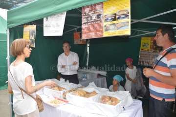 Reportaje gráfico TA