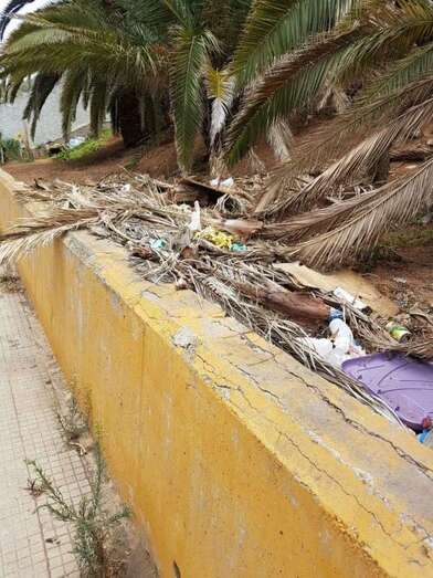 Ramas de palmeras amontonadas en los parterres (Foto TA)