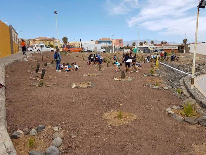 La plantación tuvo lugar la pasada semana en un solar próximo al paseo marítimo y al local social del colectivo vecinal (Foto TA)