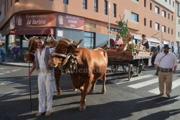 Reportaje gráfico TA y Antonio Alí