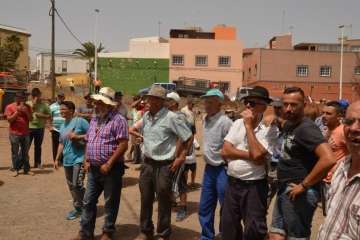 Muestra de ganado y entrega de premios (Foto TA y Francisco Javier Santana)