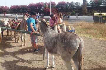 Muestra de ganado y entrega de premios (Foto TA y Francisco Javier Santana)