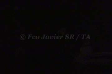 Reportaje gráfico Francisco Javier Santana