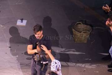 Reportaje gráfico Francisco Javier Santana