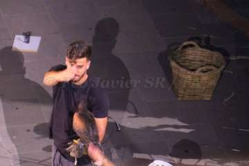 Reportaje gráfico Francisco Javier Santana