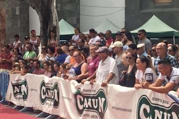 Concurso Nacional Canino de Dogo Presa Canario en Telde (Foto TA)