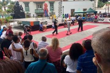 Concurso Nacional Canino de Dogo Presa Canario en Telde (Foto TA)