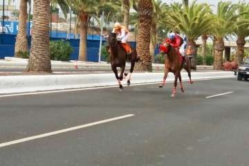 Carreras de caballos y entrega de premios en la Avenida del Cabildo (Foto TA)